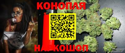 ALPHA PVP Бийск