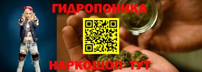 ALPHA PVP Бийск