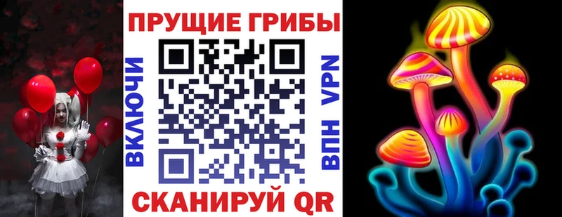 наркота Заинск Псилоцибиновые грибы Psilocybine cubensis