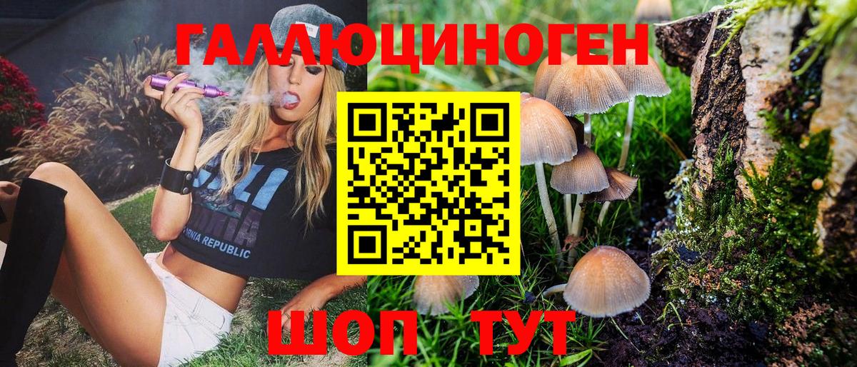 Псилоцибиновые грибы мухоморы Заинск