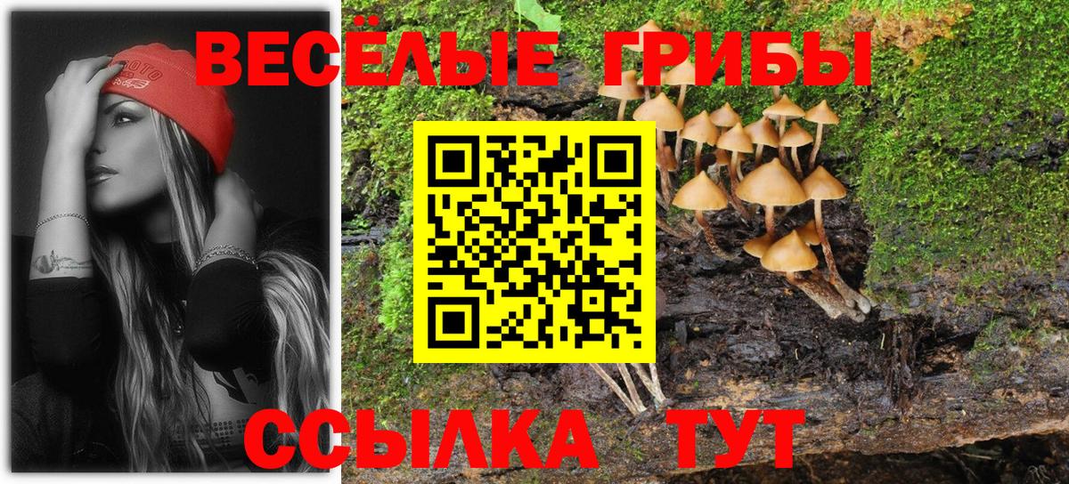 Галлюциногенные грибы GOLDEN TEACHER  Заинск 